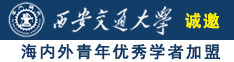 男人的jj叉入女人的逼里诚邀海内外青年优秀学者加盟西安交通大学